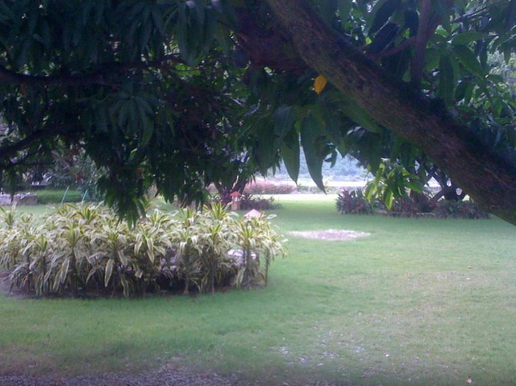 Dewdrop Mango Bloom Resort Jim Corbett National Park Zimmer foto